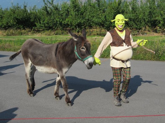 On a retrouvé Sherk.jpg